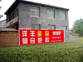 嵩明如何让墙体广告展现最大化效果