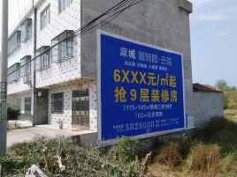 嵩明墙体广告质量分析